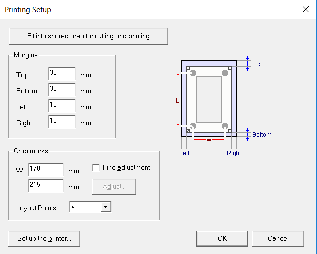 [Printing Setup] dialog box