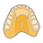 icon_upperdenture_48