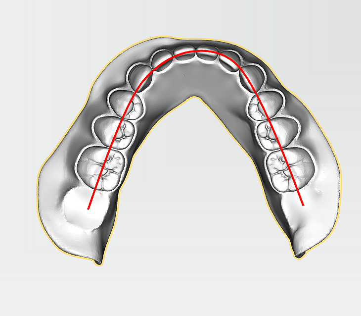 lower-jaw-arch-curve